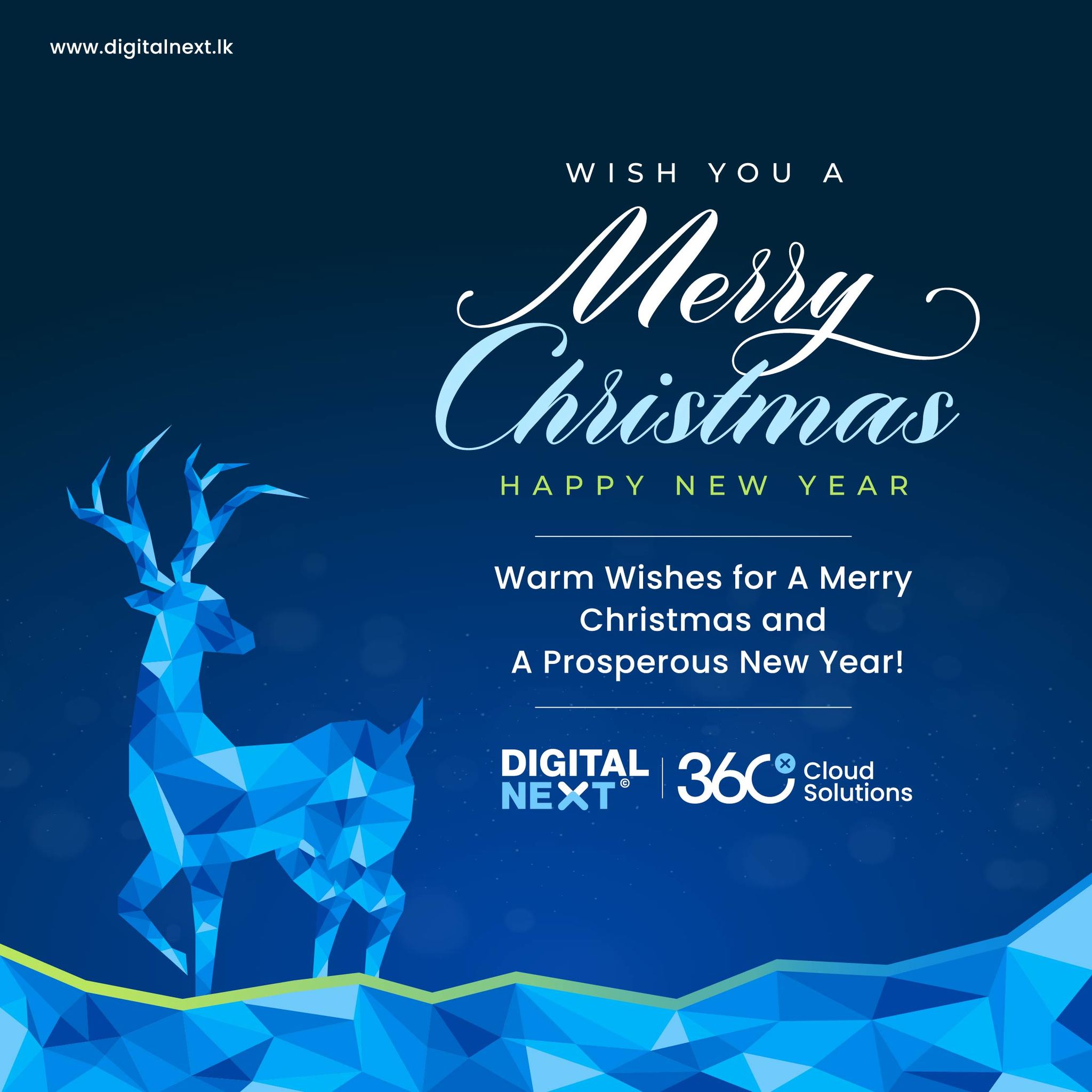 Merry Christmas & Prosperous New Year Wishes
