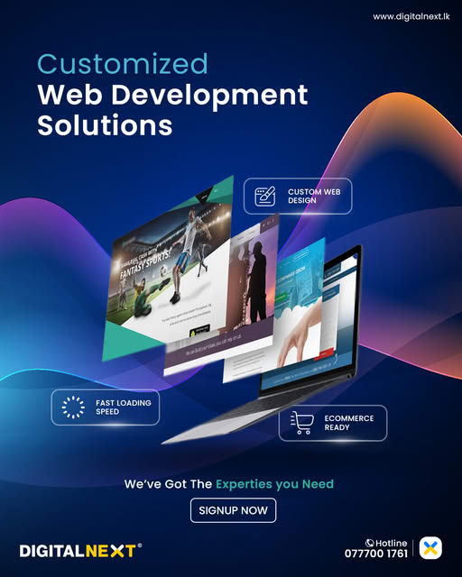 Custom Web Development Solutions